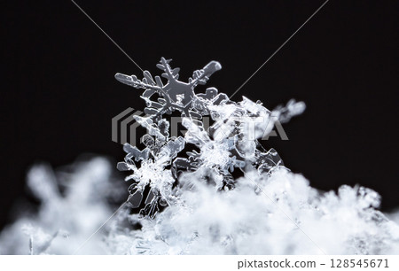 Macro snowflakes showing intricate winter details on dark background Macro snowflakes showing intricate winter details on dark background 128545671