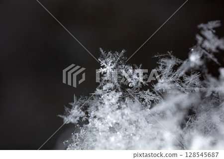 Macro snowflakes showing intricate winter details on dark background 128545687