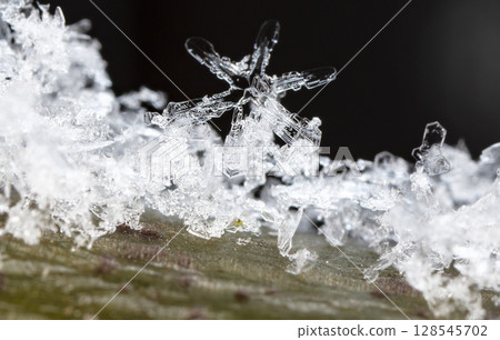 Macro snowflakes showing intricate winter details on dark background 128545702