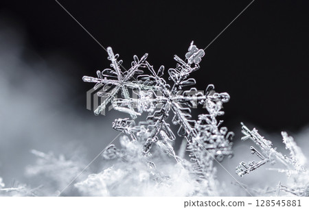 snowflakes, winter card, crystals of snow snowflakes, winter card, crystals of snow 128545881