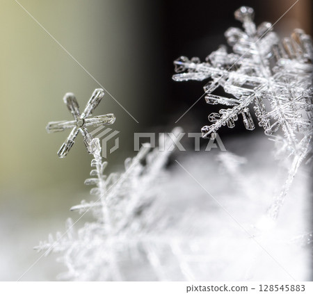 snowflakes, winter card, crystals of snow snowflakes, winter card, crystals of snow 128545883