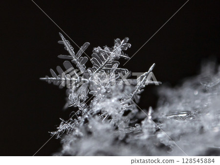 snowflakes, winter card, crystals of snow snowflakes, winter card, crystals of snow 128545884
