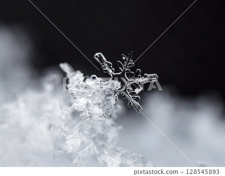 snowflakes, winter card, crystals of snow snowflakes, winter card, crystals of snow 128545893