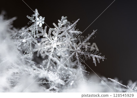 snowflakes, winter card, crystals of snow snowflakes, winter card, crystals of snow 128545929