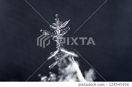 snowflakes, winter card, crystals of snow snowflakes, winter card, crystals of snow 128545938