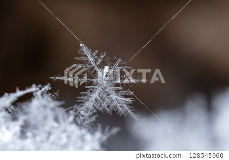 snowflakes, winter card, crystals of snow snowflakes, winter card, crystals of snow 128545960