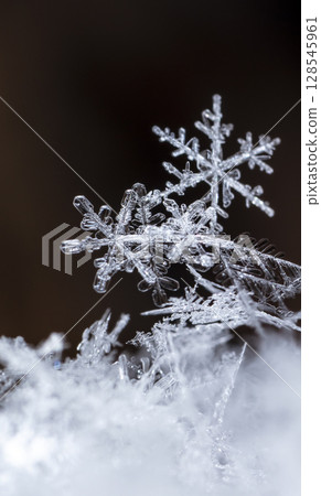 snowflakes, winter card, crystals of snow 128545961