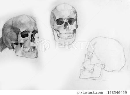 still life, pencil drawing illustration, sketch 128546439