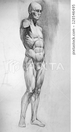 human's figure, pencil drawing illustration, sketch human's figure, pencil drawing illustration, sketch 128546495