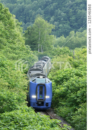 Limited express Sarobetsu passing through a jungle of summer grass Limited express Sarobetsu Soya Main Line 128546868