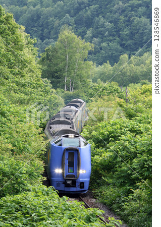 Limited express Sarobetsu passing through a jungle of summer grass Limited express Sarobetsu Soya Main Line Limited express Sarobetsu passing through a jungle of summer grass Limited express Sarobetsu Soya Main Line 128546869
