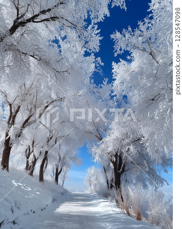 Snow-covered trees in winter Snow-covered trees in winter 128547098