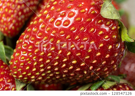 Macro View of Ripe Strawberries. Summer Harvest Background. 128547126