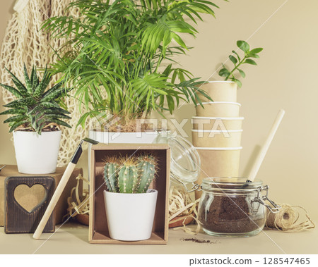 Sustainable home still life with potted plants, succulents and garden accessories on wooden shelf on white background. Eco friendly interior. Home gardening, hobby, relaxing and me time concept Sustainable home still life with potted plants, succulents and garden accessories on wooden shelf on white background. Eco friendly interior. Home gardening, hobby, relaxing and me time concept 128547465