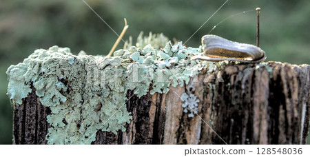 weather eroded post 128548036