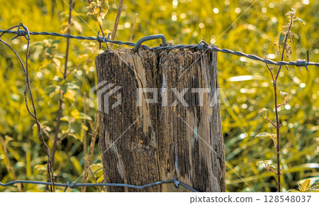 rusty nail stuck in wood 128548037