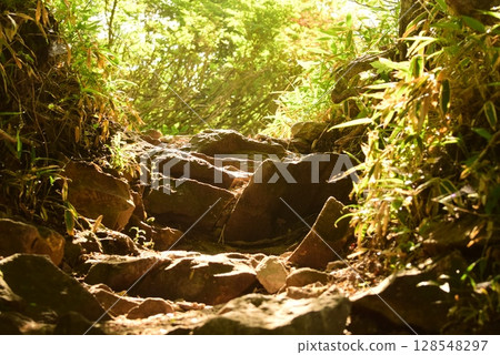 Gunma - Mountain scenery with sunlight filtering through the trees 128548297