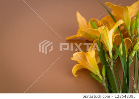 Bright yellow lilies on warm brown background 128548393
