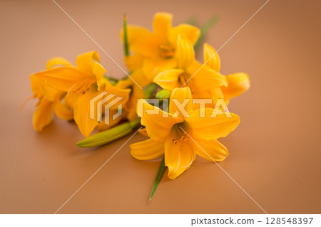 Bright yellow lilies on warm brown background Bright yellow lilies on warm brown background 128548397