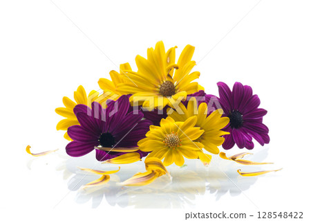 Petals and bright flowers on white background 128548422