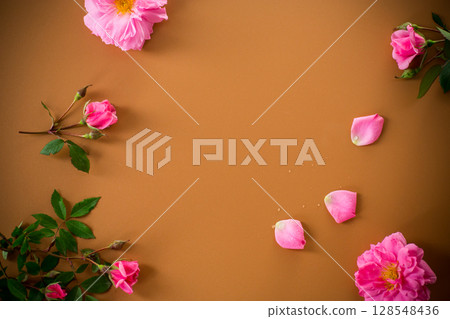 Pink petals and branches with buds on brown background 128548436