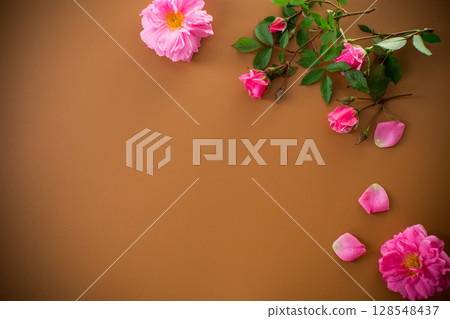 Rose flowers on smooth brown background Rose flowers on smooth brown background 128548437