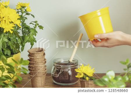Greenery home life style. Home gardening. Eco friendly spring composition with female hand holding garden pot, potted plantes and garden accessories on wooden table on blue background. Hobby and relax 128548660