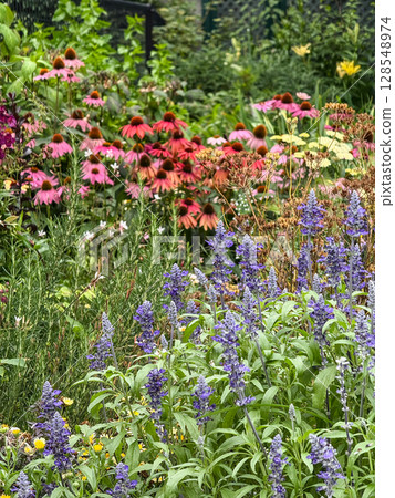 Flowers that bloom in the flowerbed 128548974