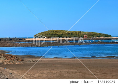 [Miyazaki Prefecture] Aoshima and the Demon Washboard seen from Aoshima Beach (Aoshima Shrine and Torii) 128549025