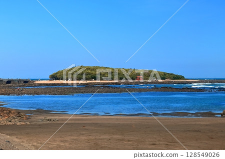 [Miyazaki Prefecture] Aoshima and the Demon Washboard seen from Aoshima Beach (Aoshima Shrine and Torii) 128549026