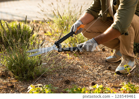 Man working in the cottage garden and planting the flowers Man working in the cottage garden and planting the flowers 128549461