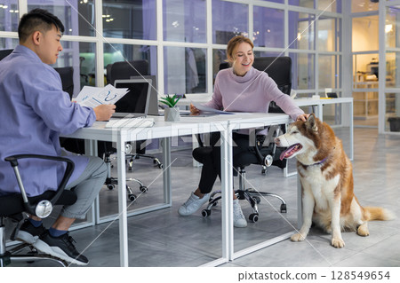 Colleagues working together in the office and a dog sitting near Colleagues working together in the office and a dog sitting near 128549654