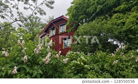 Traditional red wooden house with yellow-trimmed windows surrounded by lush greenery and blooming lilac bushes Traditional red wooden house with yellow-trimmed windows surrounded by lush greenery and blooming lilac bushes 128550556