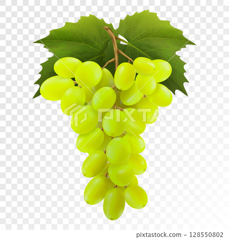 Bunch of yellow or green grapes with vine leaves isolated on transparent background. Cluster of grape. Realistic, fresh, natural food, dessert. 3d vector illustration for agriculture design. Bunch of yellow or green grapes with vine leaves isolated on transparent background. Cluster of grape. Realistic, fresh, natural food, dessert. 3d vector illustration for agriculture design. 128550802