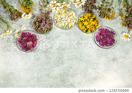 Medicinal herbs and their flower petals in glass cups for infusions or tea, concept of alternative folk medicine, advertisement of a green pharmacy, collection of useful herbs for treatment according 128550890