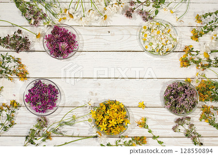 Medicinal herbs and their flower petals in glass cups for infusions or tea, concept of alternative folk medicine, advertisement of a green pharmacy, collection of useful herbs for treatment according 128550894