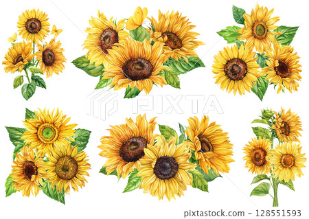 Sunflowers and yellow butterfly watercolor floral bouquet with green leaves summer composition for cards, posters, floral prints Sunflowers and yellow butterfly watercolor floral bouquet with green leaves summer composition for cards, posters, floral prints 128551593