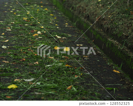 一條小路，上面佈滿了落葉和草屑——季節性的自然背景 128552325