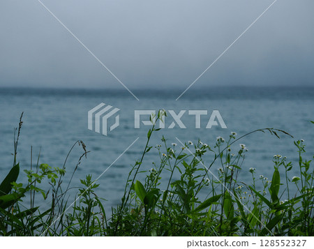 A tranquil landscape of a lake and flowers - a composition that gives a sense of natural healing and coolness A tranquil landscape of a lake and flowers - a composition that gives a sense of natural healing and coolness 128552327