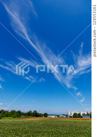 Blue sky and field 128553161