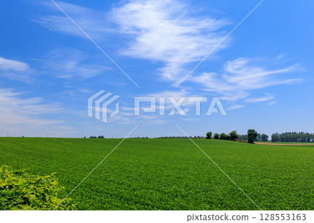 藍天和領域 藍天和領域 128553163