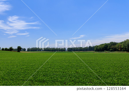 藍天和領域 藍天和領域 128553164