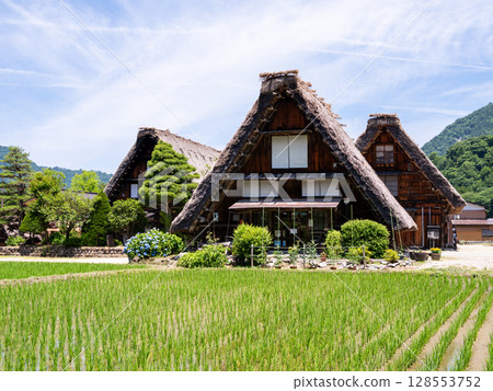 [Shirakawa-go] Walking around the Gassho-style village in summer 128553752