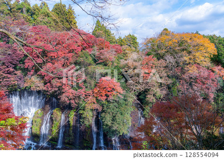 [紅葉] 秋季富士宮市白絲瀑布與雲層中隱現的富士山 [靜岡縣] 128554094