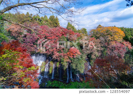 [紅葉] 秋季富士宮市白絲瀑布與雲層中隱現的富士山 [靜岡縣] 128554097