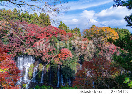 [Autumn foliage] Shiraito Falls in Fujinomiya City in autumn and Mount Fuji peeking through the clouds [Shizuoka Prefecture] 128554102