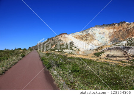 北海道惠山火山口平原的風景 128554506