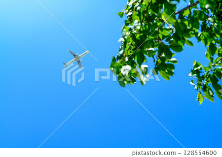 一架噴射機穿過樹葉，飛過美麗的藍天 128554600