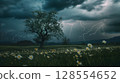 Lightning and daffodils blooming in a park at night 128554652