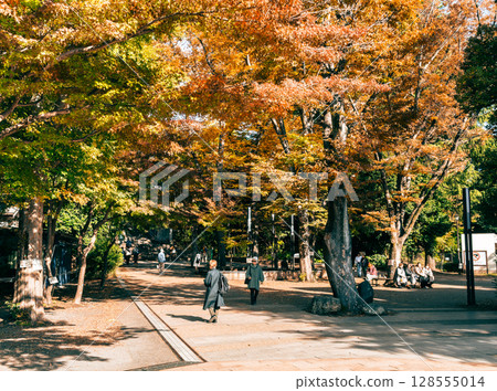Kichijoji Autumn Inokashira Park 128555014